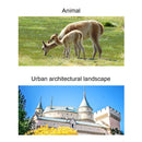 Telescópio refrator astronômico profissional hd